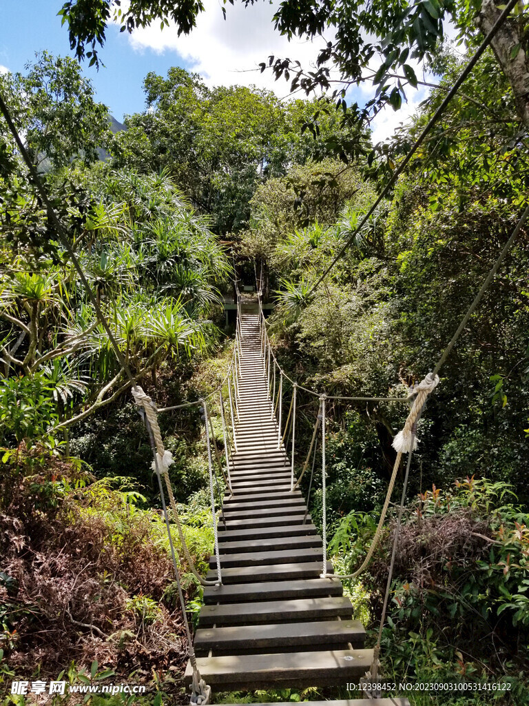 山林小路