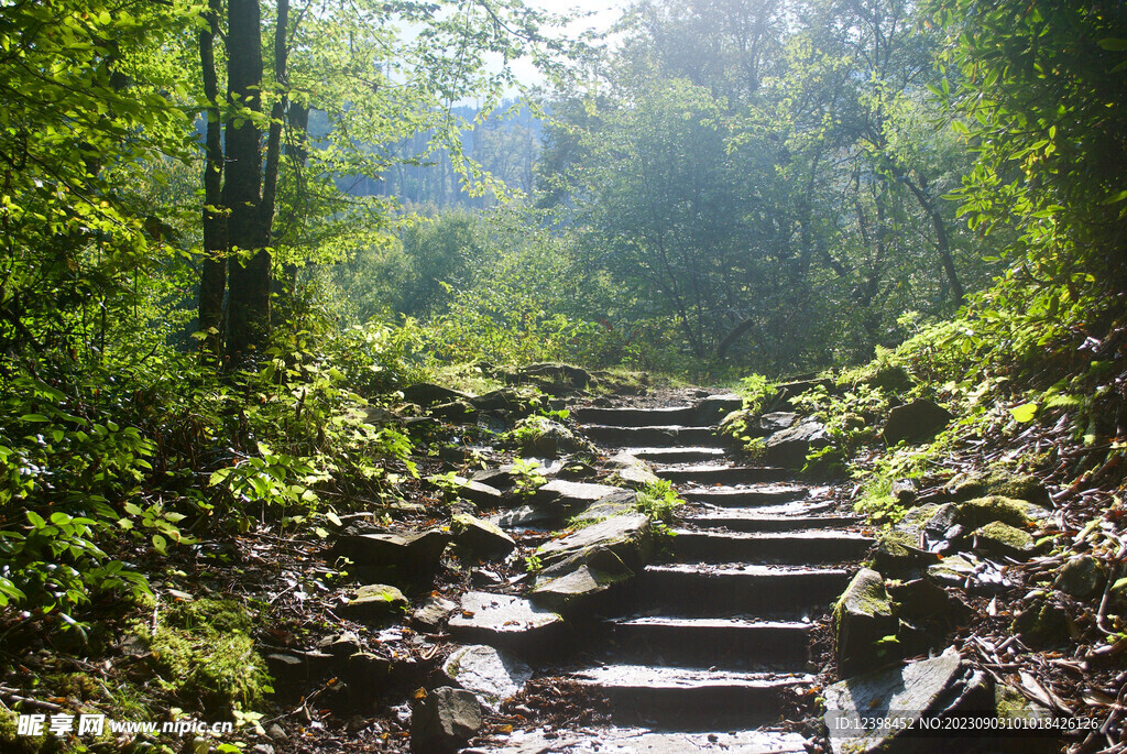 山林小道