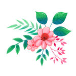 手绘彩色扁平花朵图片