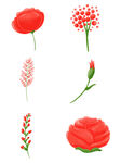红色花卉素材