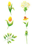 一组手绘花卉