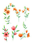 花朵手绘