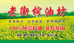  菜籽油