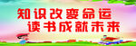 阅读