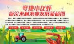 寒地小龙虾