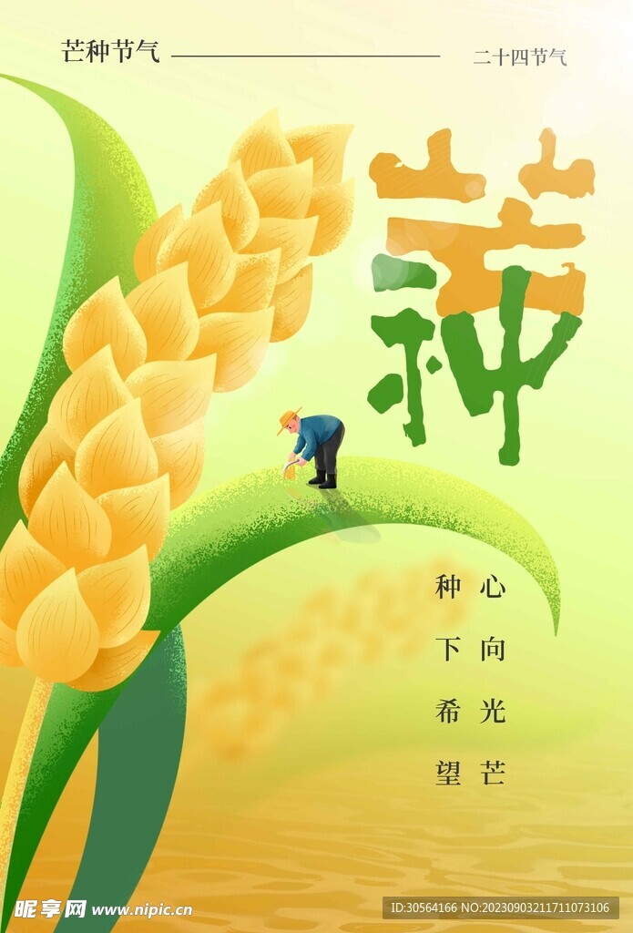 芒种