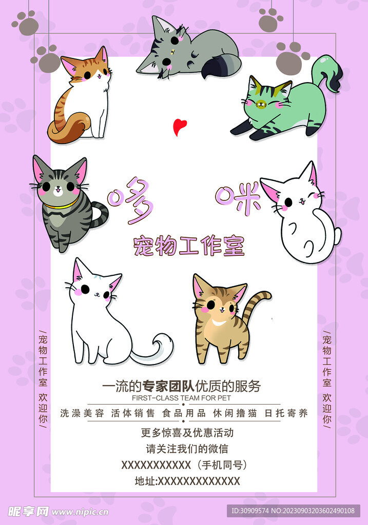 宠物店海报