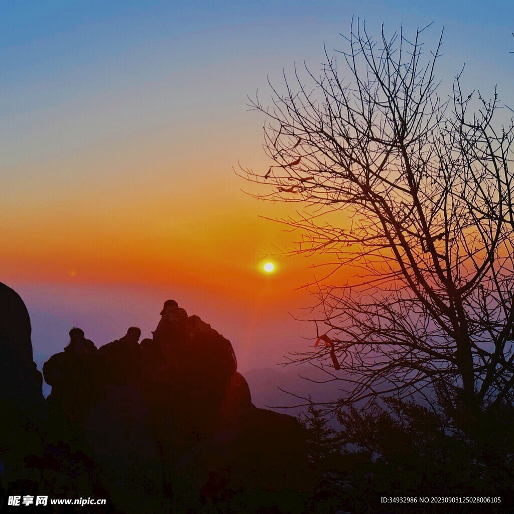 泰山