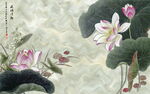 荷花背景