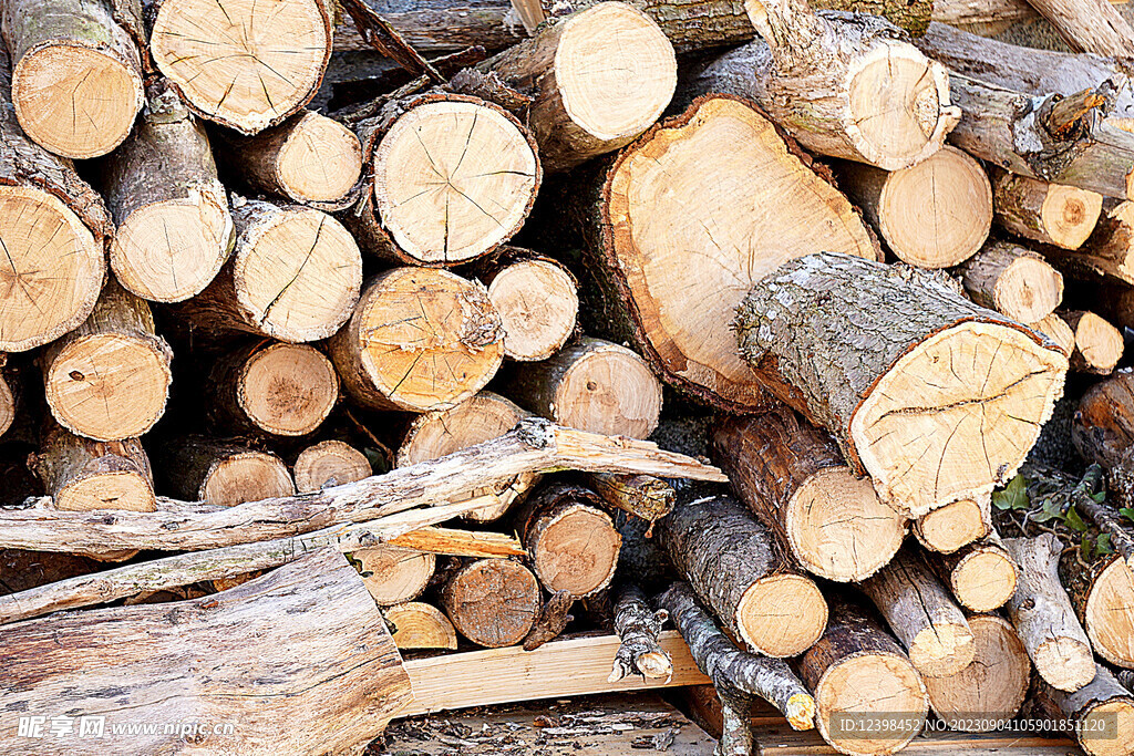 木头摄影图__树木树叶_生物世界_摄影图库_昵图网