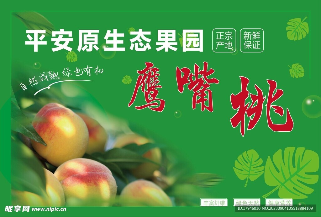 鹰嘴桃纸箱包装封面设计