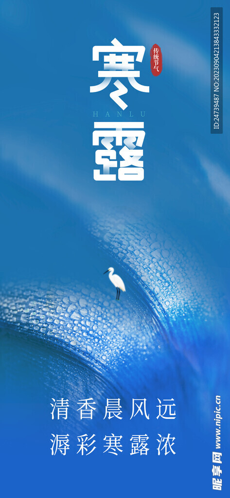 寒露海报