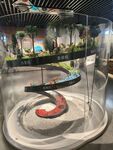 博物馆展厅