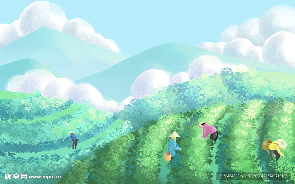茶山插画