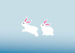 白兔 bunny+rabbit