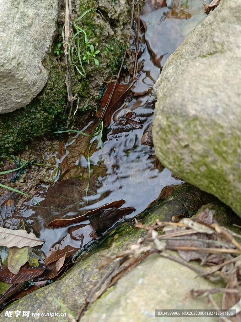 溪水图片