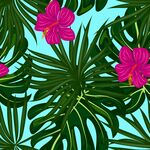 红花涂鸦