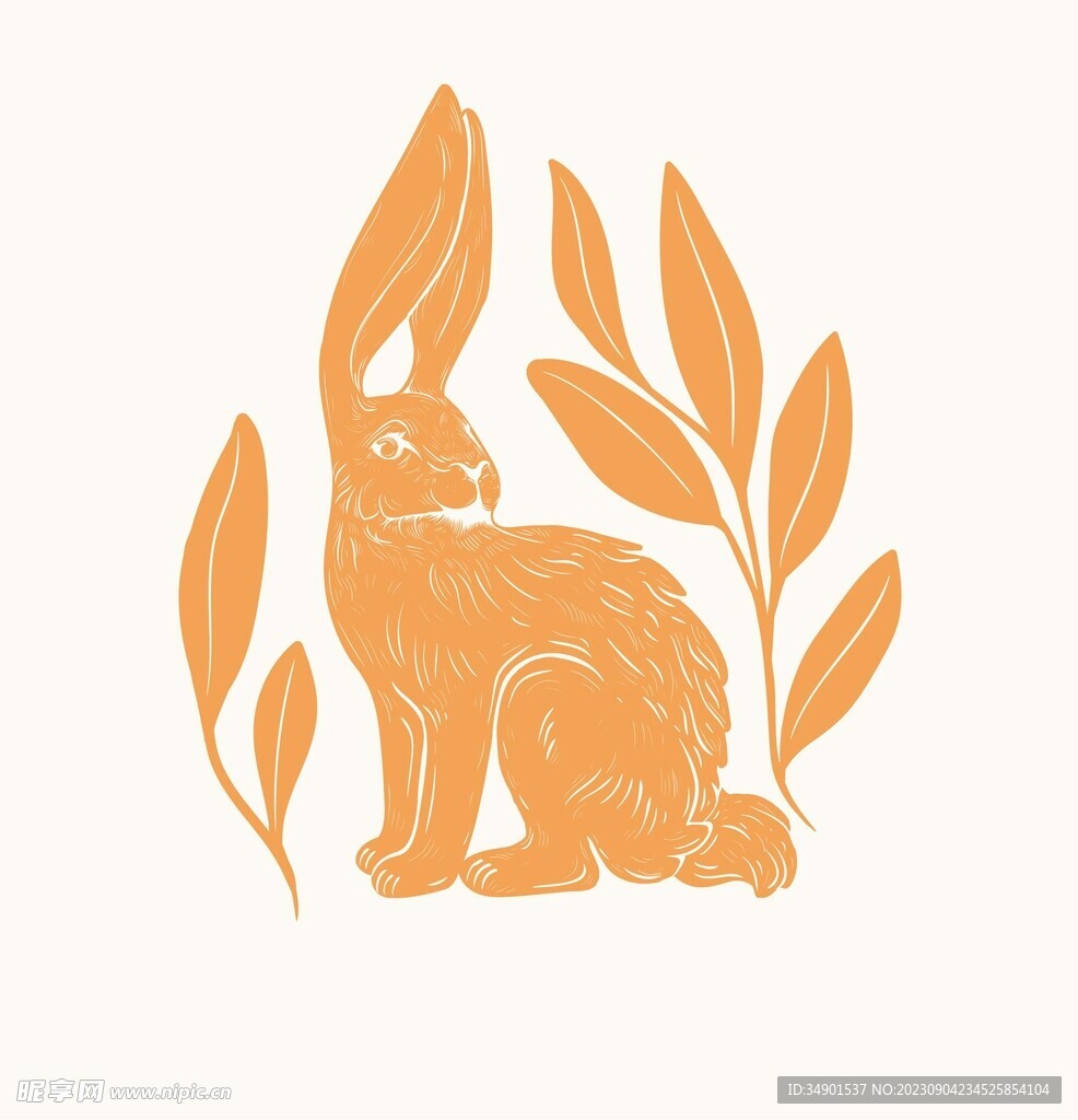 毛绒兔兔