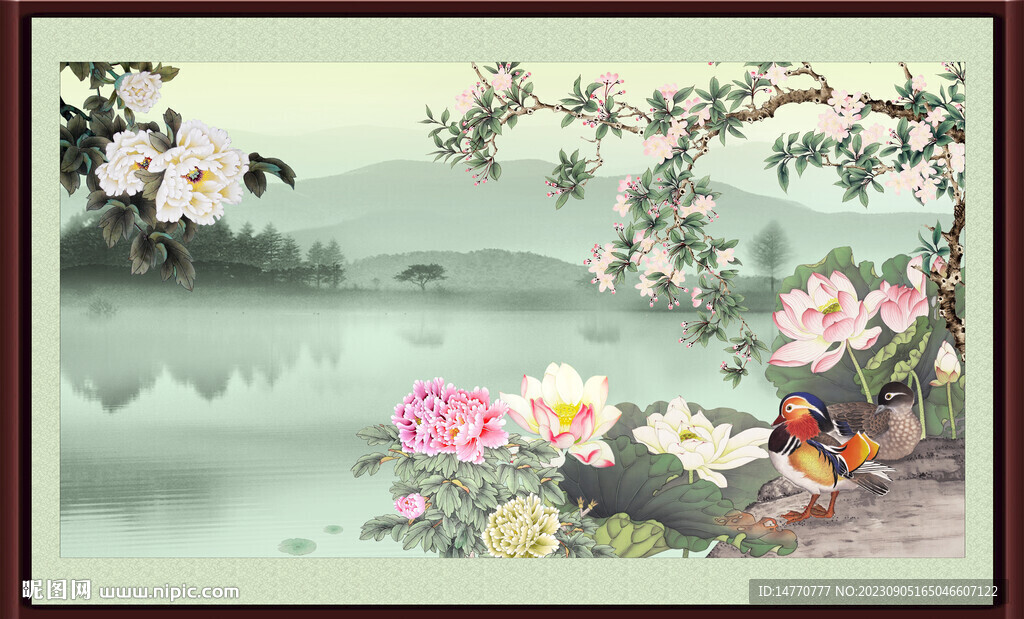 荷花 