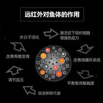 电商活动海报