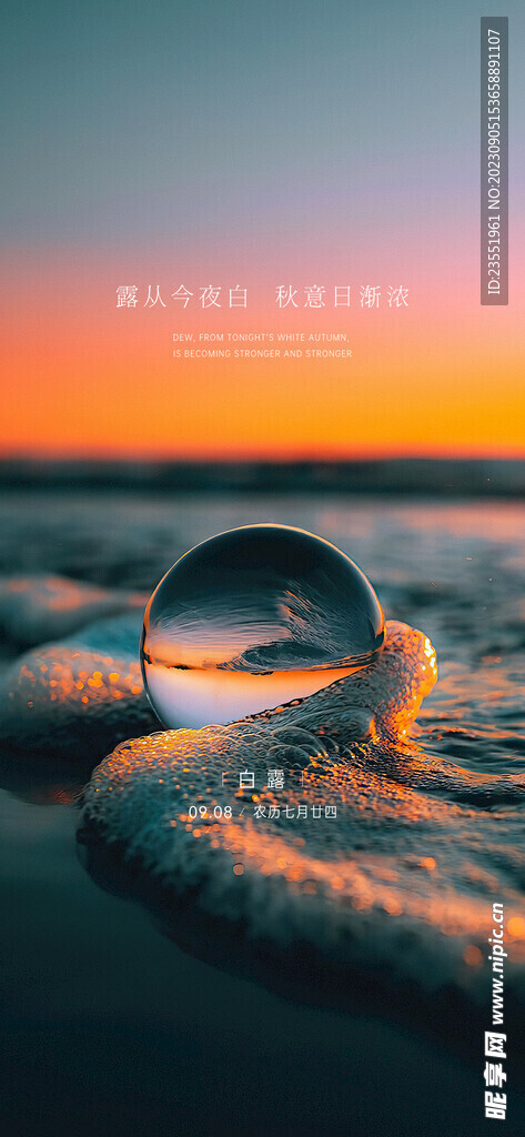 白露节气海报
