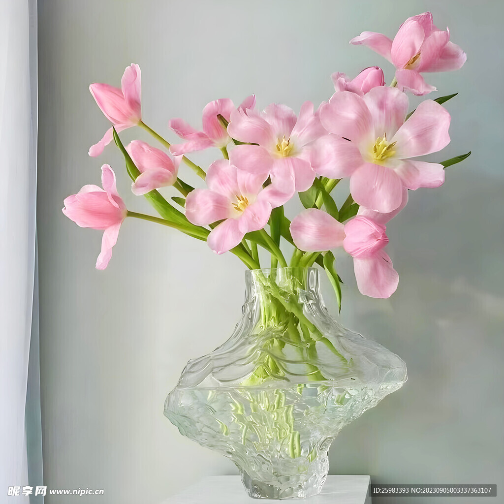 水培鲜花