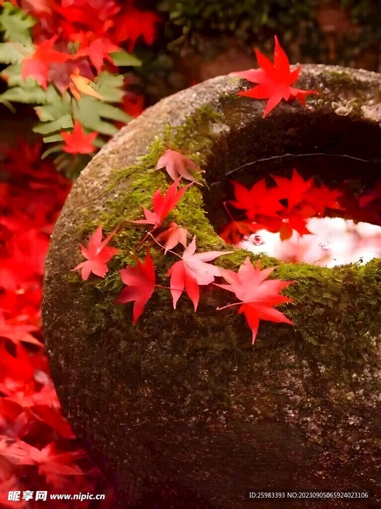 水缸