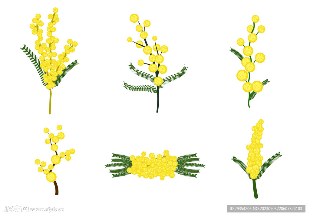 黄色鸢尾 植物图鉴图片