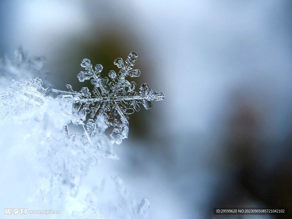 雪花