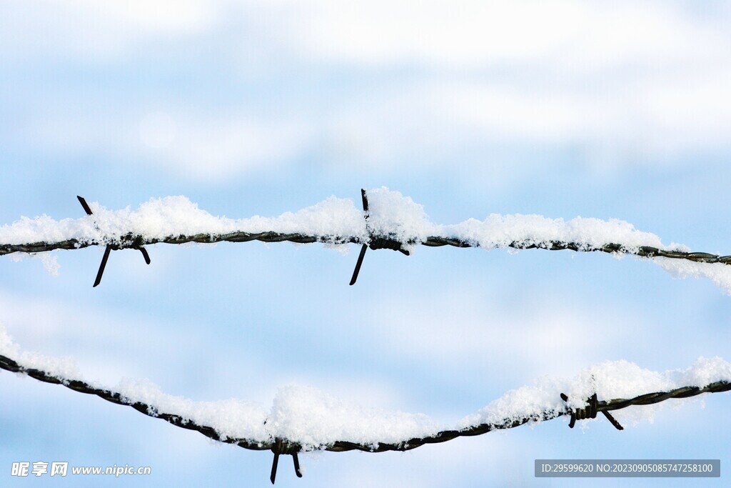 雪景