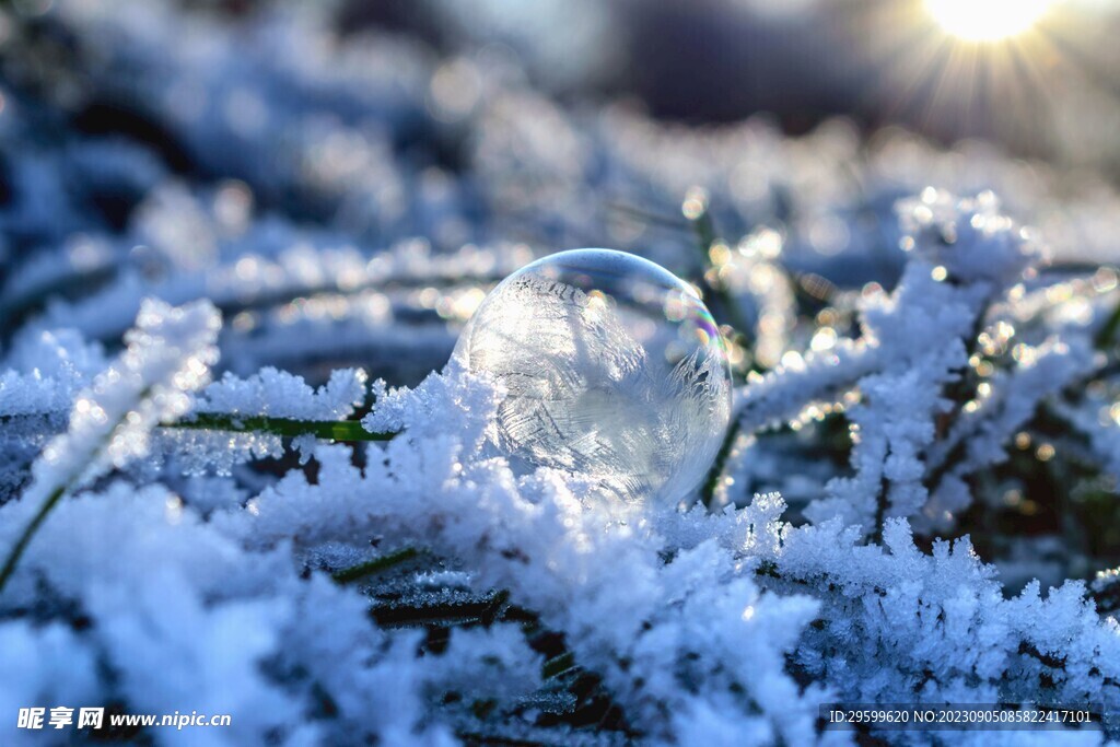 雪花