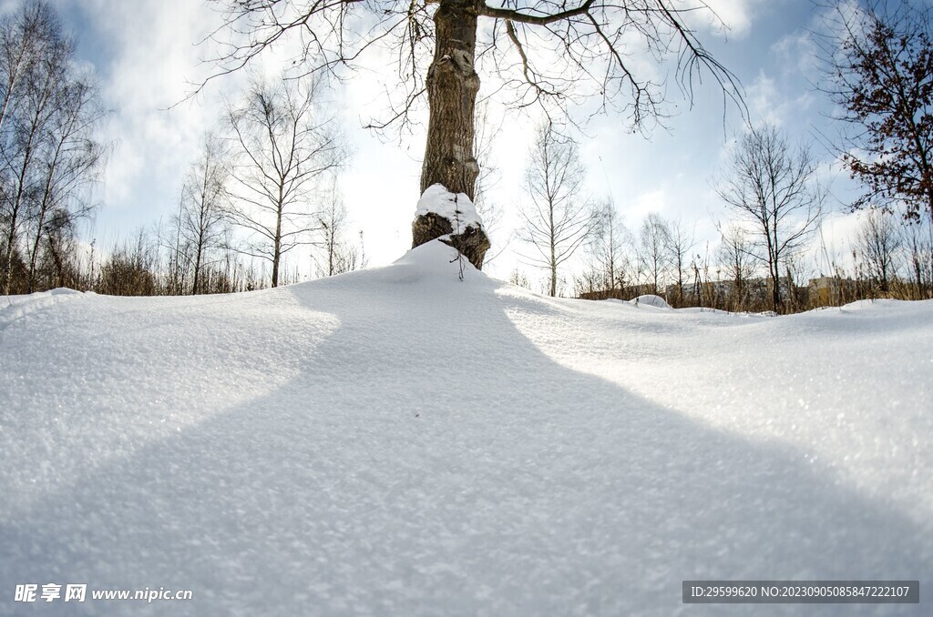 雪景