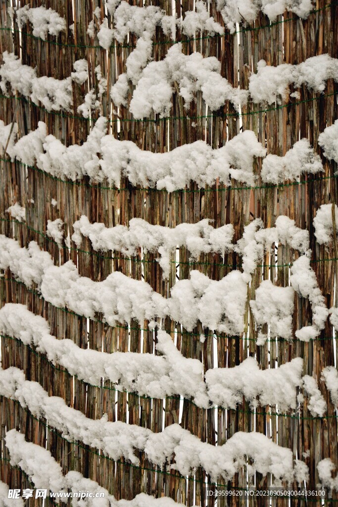 积雪