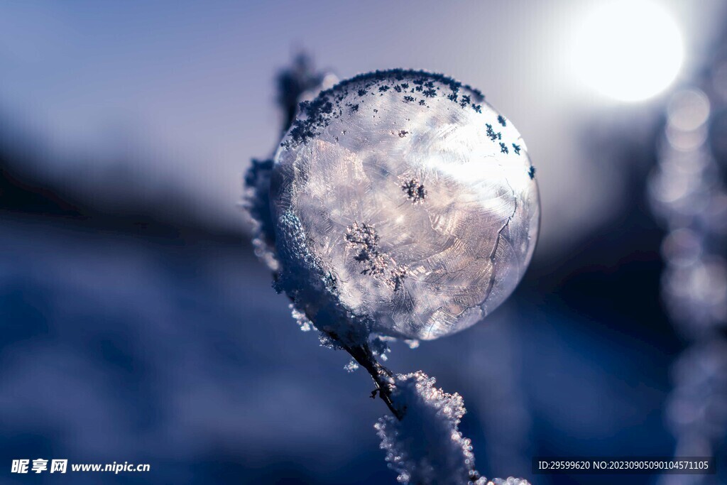 雪花