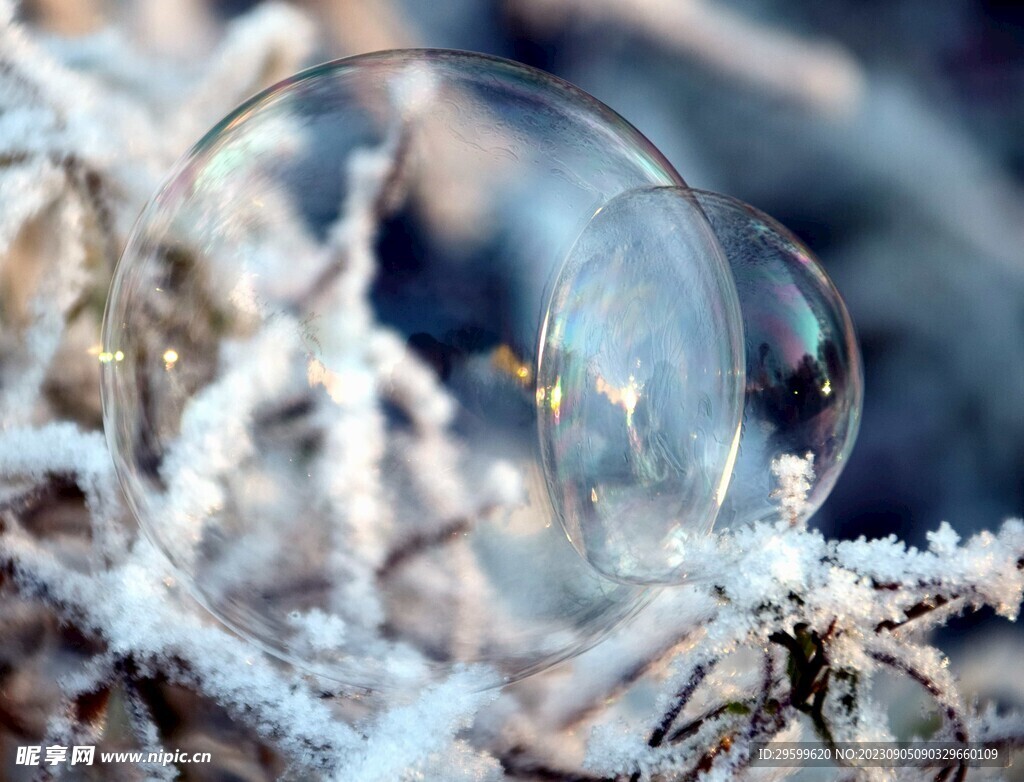 雪花