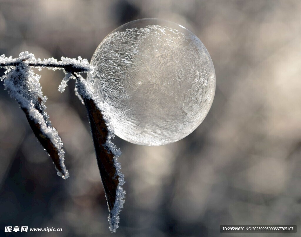 雪花