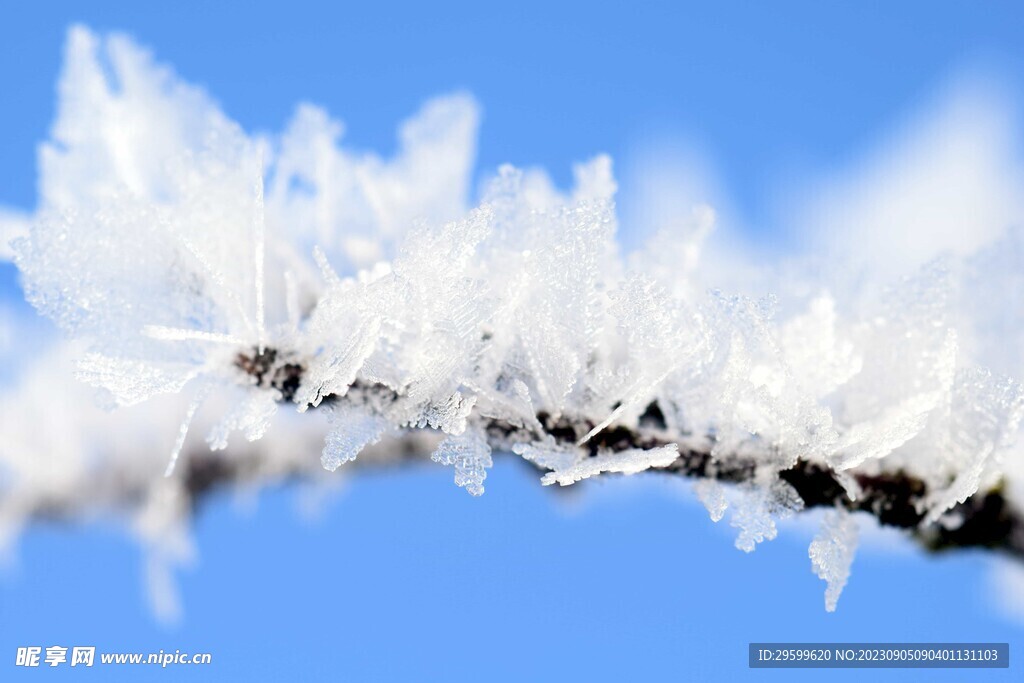 雪花