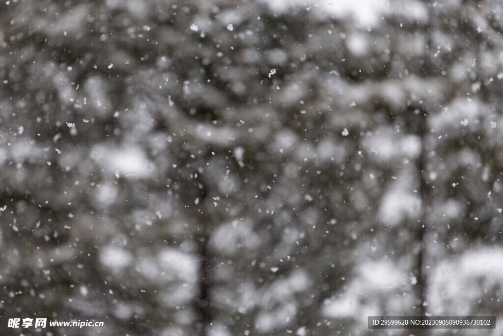 雪花