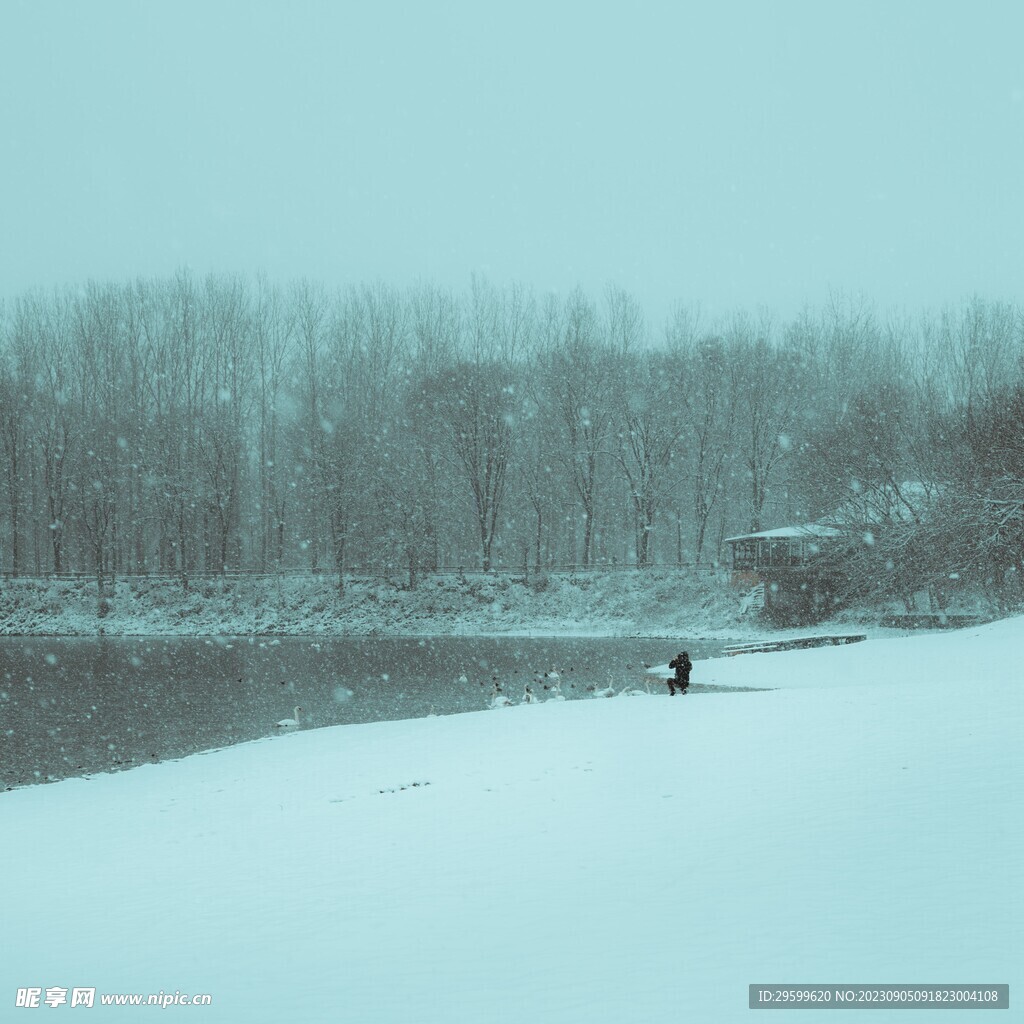 雪地