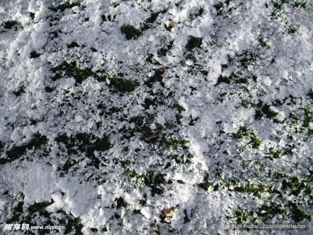 雪地