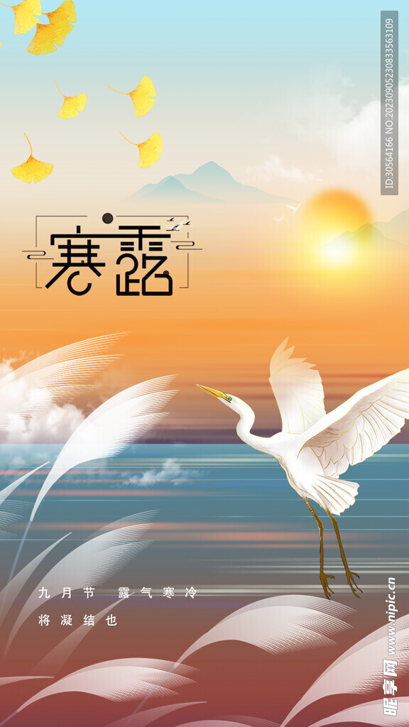 寒露