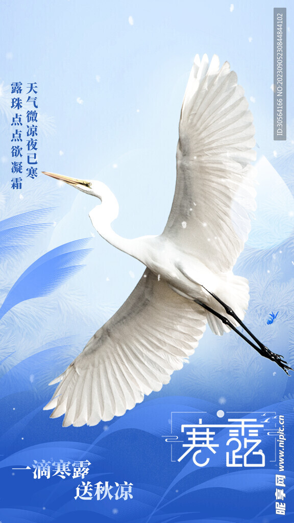 寒露