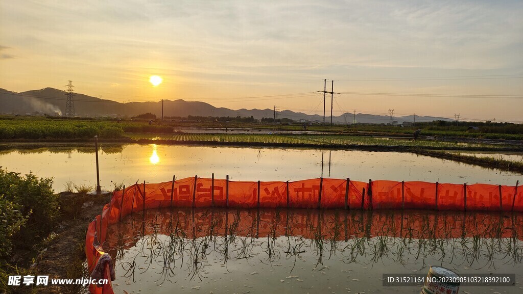 夕阳与农田手机拍摄图