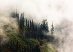云海山林风景