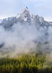 绿树林和雪山