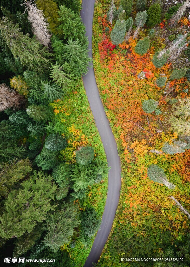 航拍山林道路