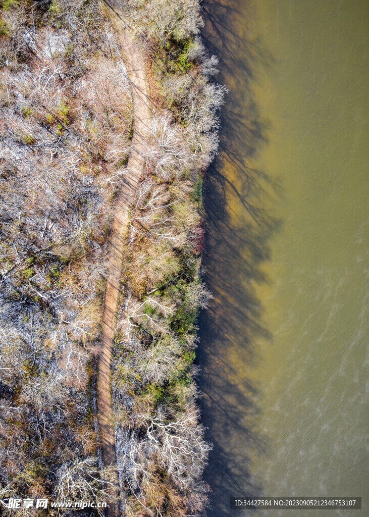 航拍湖边林间道路