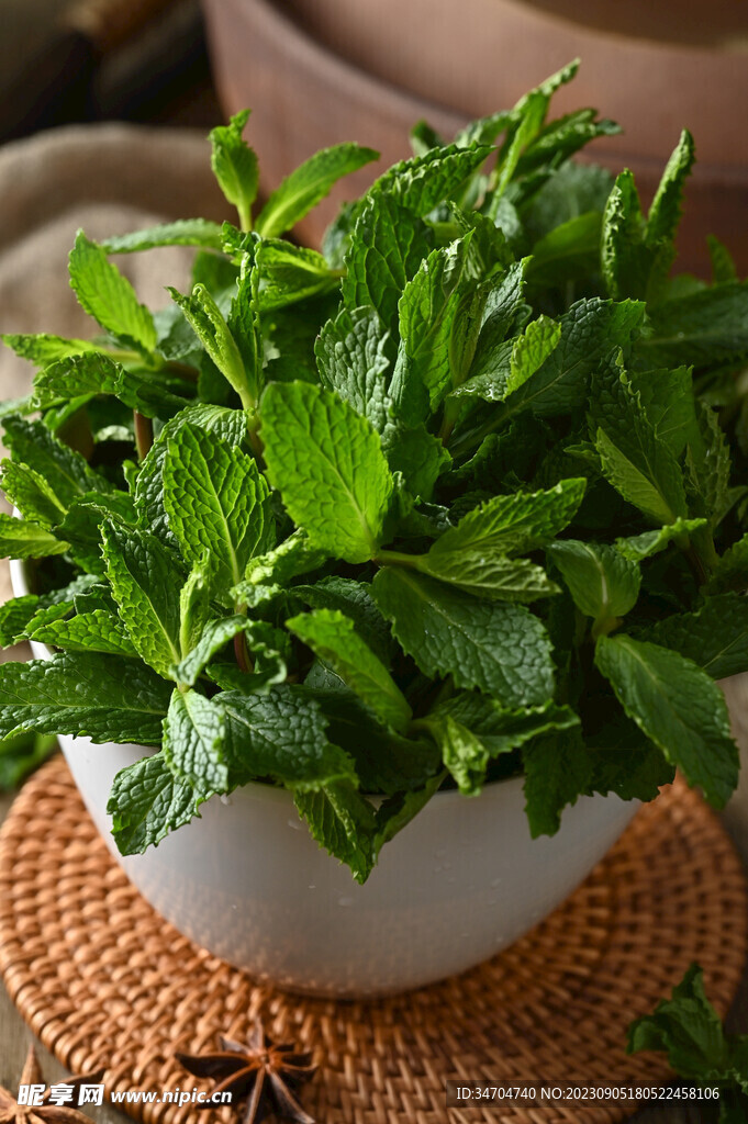 薄荷