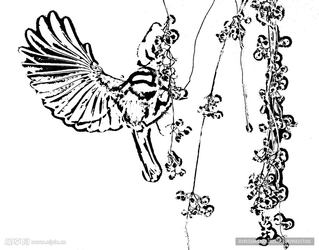 花鸟线描