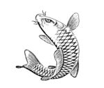鱼线描